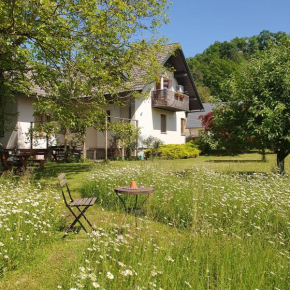 River House Radolca